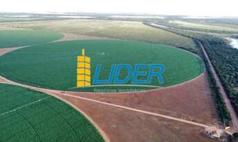 Imagem 2: Excepcional fazenda com 987 hectares sendo 725 hectares de plantio à venda em Paracatu - M