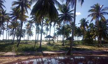 Imagem 7: EXCLENTE LOTE - OPORTUNIDADE UNICA NO VILLAREDO ARUANA