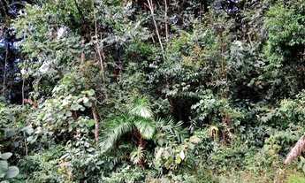 Imagem 4: Terreno à venda, 509 m² por R$ 300.000,00 - Vila Verde - Itapevi/SP