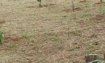 Imagem 2: Chácara em Ouro Fino MG