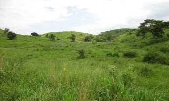 Imagem: Venda-se está fazenda de 165 alqueires