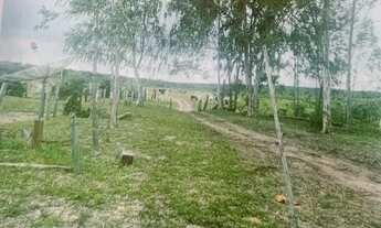 Imagem 5: Fazenda com 1.010 Alqueires no Mato Grosso Oportunidade