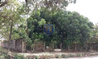 Imagem 4: Locação de Terreno / Padrão na cidade de Fortaleza