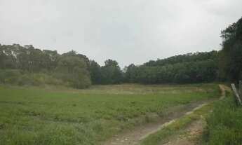 Imagem 3: Área à venda, 78301 m² por R$ 7.500.000,00 - Jardim Silvana - Almirante Tamandaré/PR