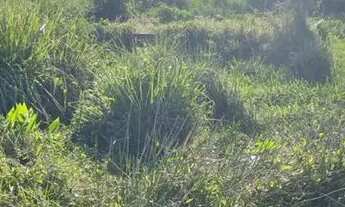 Imagem 2: Terreno Terreno / lote com venda por R$30.000