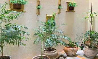 Imagem 2: Apartamento Vila Ipiranga 2 quartos