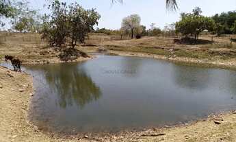 Imagem 2: VENDO!!! Uma área rural de 2,122 hectares na região do porto bandeira na cidade