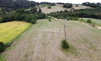 Imagem 7: Terreno / Chácara em Araucária / Thomaz Coelho