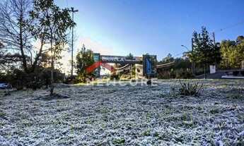 Imagem 7: Lote em Assis Brasil - VILA DO CEDRO - Canela/RS