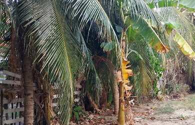 Imagem 5: Vendo casa no Icaraí Caucaia pra reforma