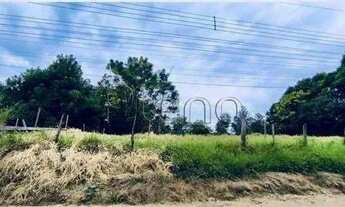 Imagem 4: Chácara à venda em Campinas, Chácara de Recreio Santa Fé, com 1 quarto, com 9356 m²