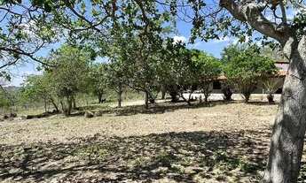 Imagem 2: Chácara residencial para Venda no Tomba, Feira de Santana, 4 quartos, 1 sala, 2 banheiros