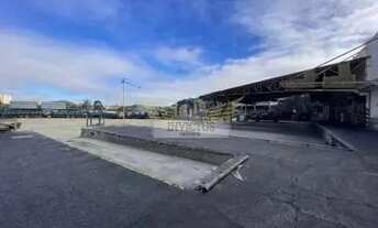 Imagem 7: Galpão Industrial para Comprar, 18.078m² - Paulicéia, São Bernardo do Campo/SP