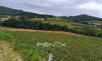 Imagem 4: Garanta Seu Lote em Cotia com Entrada Facilitada!