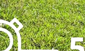 Imagem 2: TERRENOS A VENDA PROMOÇÃO IMPERDÍVEL! TERRA DO MORANGO - SP