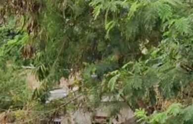 Imagem 3: Vendo casa cidade santa luzia