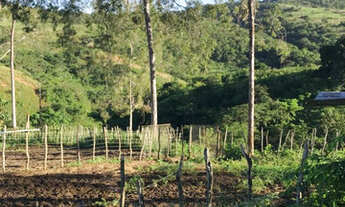 Imagem 9: Linda fazenda em Vitória com 3.1 hectare