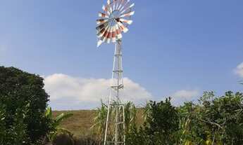 Imagem 5: Sítio para venda com 6000 metros quadrados com 2 quartos