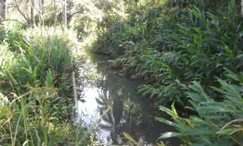 Imagem 7: Fazenda sem sede de 82ha,nascente e córrego nos fundos,Jaboticatubas(Temos varias opções