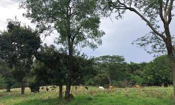 Imagem 6: LINDO TERRENO 10.000m2 C/ ÁGUA CORRENTE E LUZ EM ITAGUARA/MG
