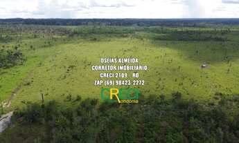 Imagem: 32 Alqueires Machadinho-RO