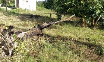 Imagem 2: Vendo lote Terreno / lote com venda por R$10.000