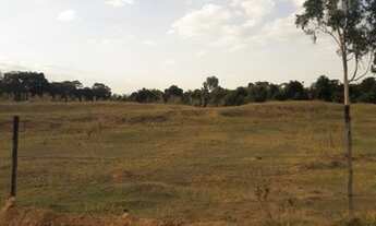 Imagem 5: Sitio em cajuru 8.5 alqueires 900.000.00 ( don