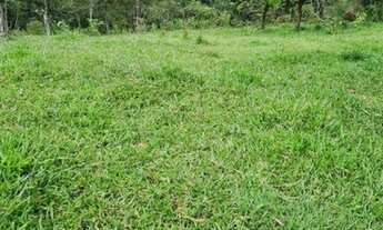 Imagem 3: Fazenda de 20 alqueires em Hidrolândia