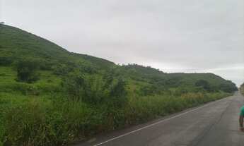 Imagem 6: Sítio com 21 hectares