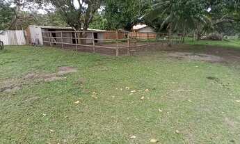 Imagem 6: Sítio em Barra de Pojuca