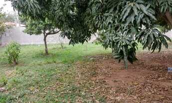 Imagem 3: Lote em Condomínio Fechado para Venda em Brasília, Setor Habitacional Tororó (Jardim Botân