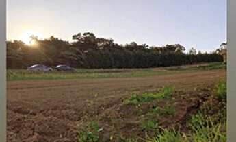 Imagem 6: Terrenos com Vista Excelente e fica na beira do Asfalto Ibiúna SP