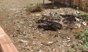 Imagem: Vendo lote 250 metros