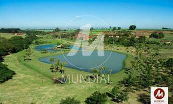 Imagem 14: Terreno (terreno em condominio fechado) , portaria 24hs, espaço gourmet, salão de festa, e