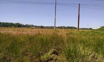 Imagem 2: Alugo área 30.000m² beira da pista Eixo da Integração Marcos Freire - Jaboatão dos Guarara