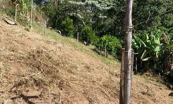 Imagem 2: Terreno com 2 casas em Campo do Coelho