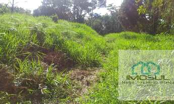 Imagem 5: Mini Chácara Itaum 4.105,00 m²