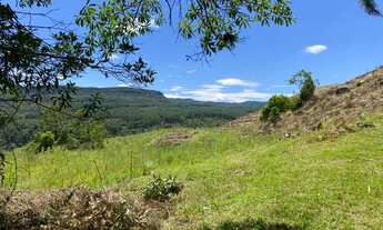 Imagem 7: Terreno com 3,9 hectares