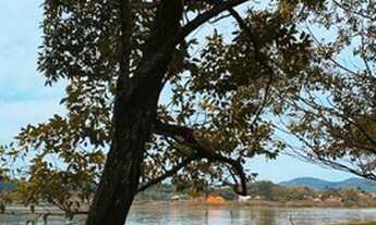Imagem 6: Casa com 3 quartos próxima a lagoa de Ibiraquera