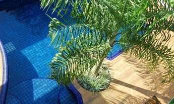 Imagem 6: Casa em condomínio com 4 quartos no CONDOMINIO ALPHAVILLE IMBUIAS - Bairro Alphaville Imbu