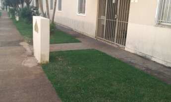 Imagem 3: Vendo apartamento de particular TÉRREO