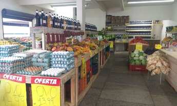 Imagem 3: Vendo frutaria no sítio cercado