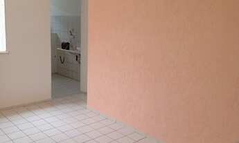 Imagem 6: Pedro Barreto 135.0000