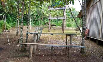 Imagem 5: Sítio em Barcelos-AM