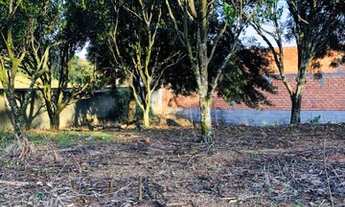 Imagem 3: Lote em cocal do sul