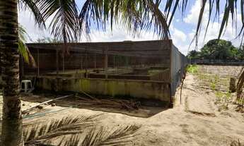 Imagem 5: Linda Granja(chácara