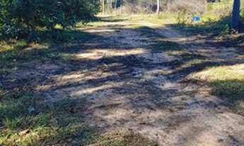 Imagem 3: Vendo chácara de 2 hectar, localizada em Santo Antônio da Patrulha _ Costa do Miraguaia!!