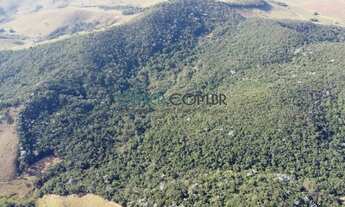 Imagem 2: FAZENDA ECOLÓGICA DE 100 HA NA REGIÃO DE CONS. LAFAIETE MG