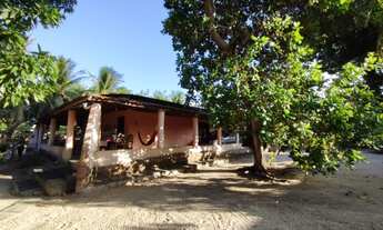 Imagem: Fazenda/Sítio/Chácara para venda tem 2.250