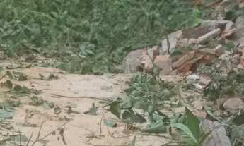 Imagem 2: Vendo essa casa Casa com 2 dormitórios